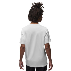 Футболка Air Jordan Graphic Tee FD7031-100