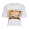 Футболка ONLLOONEY TUNES LIFE S/S TOP BOX JRS 15229462 Bright White ONLY XS Білий 15229462BRIGHTWHITE