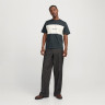 Футболка Jack & Jones JORVESTERBRO BLOCK TEE SS CREW STYD AW24 12277742-ForestRiver Anti