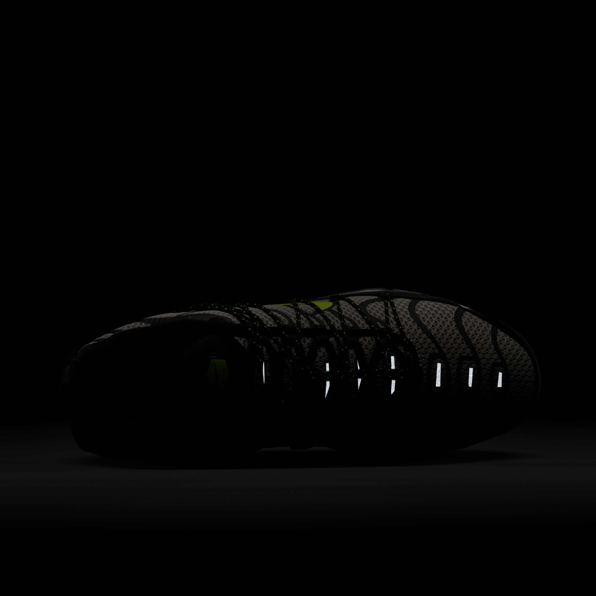 Кросівки чоловічі Nike Air Max Plus Utility Grey FD0670-003