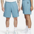 Шорти Nike Solo Swoosh Fleece Shorts DV3055-440 Шорти Nike Solo Swoosh Fleece Shorts DV3055-440