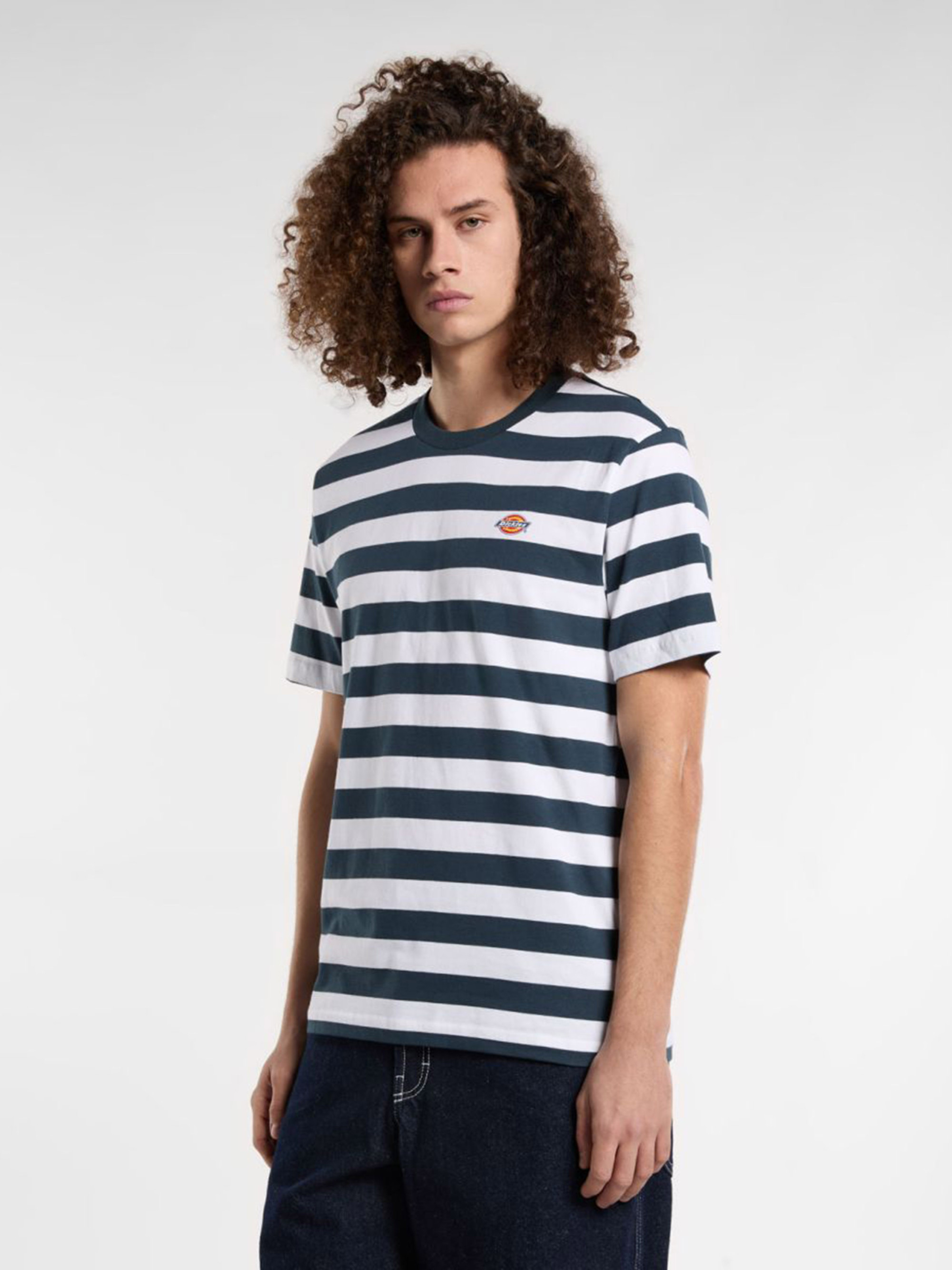 Футболка Dickies RIVERGROVE SS TEE DK0A4Y8YAF01