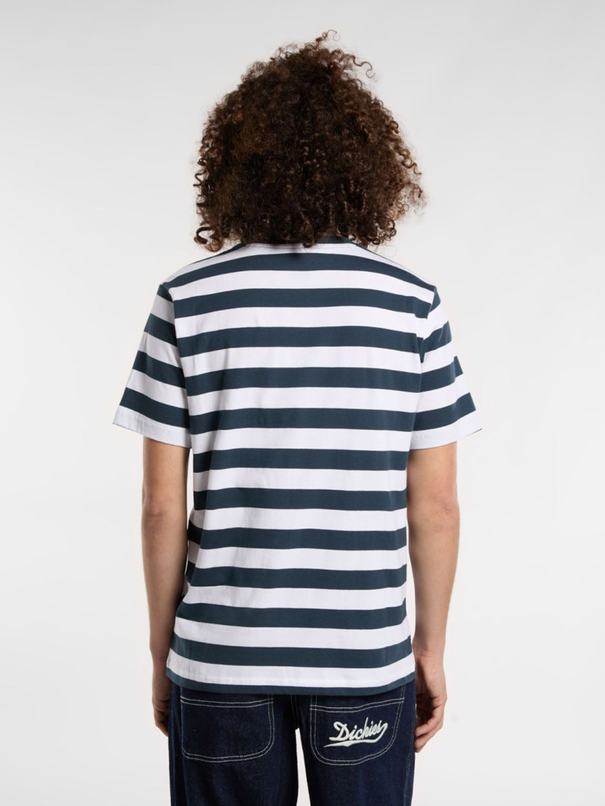 Футболка Dickies RIVERGROVE SS TEE DK0A4Y8YAF01