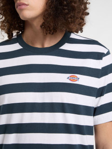 Футболка Dickies RIVERGROVE SS TEE DK0A4Y8YAF01