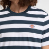 Футболка Dickies RIVERGROVE SS TEE DK0A4Y8YAF01
