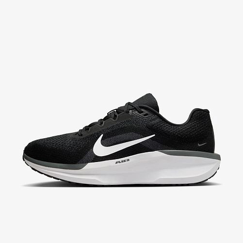 Кросівки Nike AIR WINFLO 11 FJ9509-001
