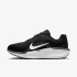 Кросівки Nike AIR WINFLO 11 FJ9509-001