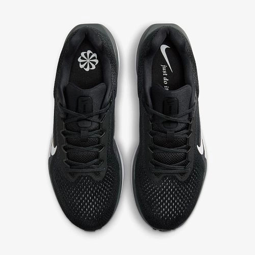 Кросівки Nike AIR WINFLO 11 FJ9509-001