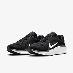 Кросівки Nike AIR WINFLO 11 FJ9509-001