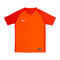 Футболка Nike Y NK DRY TROPHY III JSY SS 881484-815