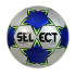 М'яч футзальний Select Futsal Tiger 5703543123001 М'яч футзальний Select Futsal Tiger 5703543123001