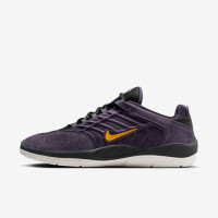 Кросівки Nike SB Vertebrae FD4691-500