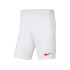 Шорти тренувальні Nike Y NK DF PARK III SHORT NB K BV6865-103