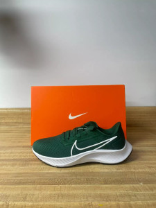 Кросівки Nike Air Zoom Pegasus 38 CZ1901-301