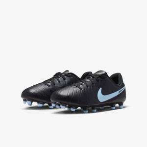 Бутси Nike JR LEGEND 10 ACADEMY FG/MG DV4348-003