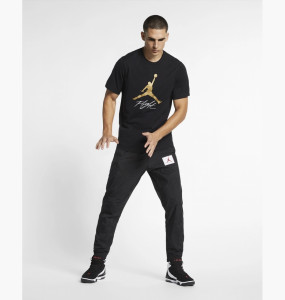 Футболка JORDAN JUMPMAN FLIGHT HBR TEE AO0664-011