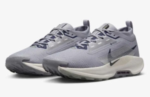 Кросівки Nike Pegasus Trail 5 GTX (блакитні) FQ0908-006