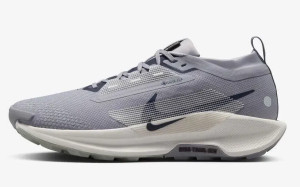 Кросівки Nike Pegasus Trail 5 GTX (блакитні) FQ0908-006