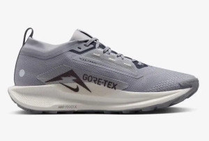 Кросівки Nike Pegasus Trail 5 GTX (блакитні) FQ0908-006