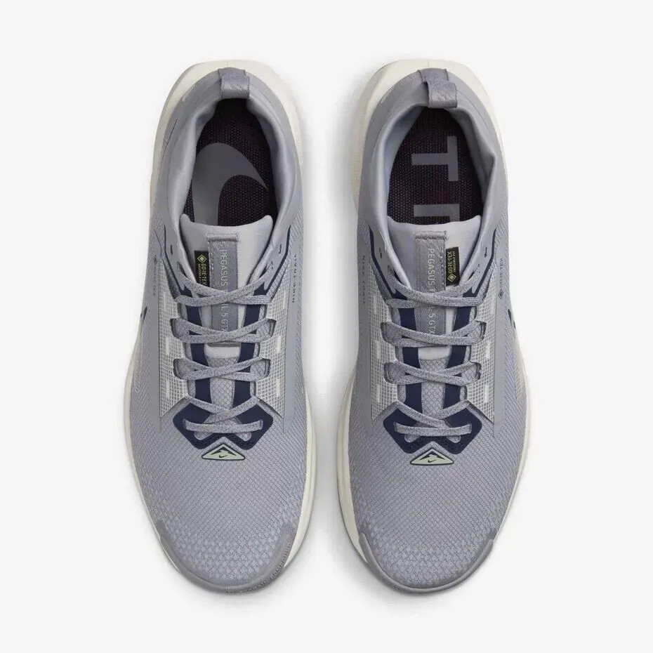 Кросівки Nike Pegasus Trail 5 GTX (блакитні) FQ0908-006