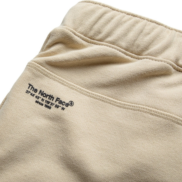 Шорти THE NORTH FACE AXYS SHORT GRAVEL NF0A86W83X41