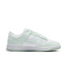 Кросівки Nike W DULOW NEXT NATURE DN1431-102