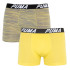 Труси-боксери Puma SPACEDYE STRIPE BOXER 2P сірий, жовтий Чол M 501002001-020