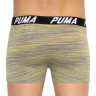 Труси-боксери Puma SPACEDYE STRIPE BOXER 2P сірий, жовтий Чол M 501002001-020