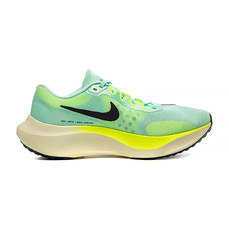 Кросівки Nike ZOOM FLY 5 DM8968-300