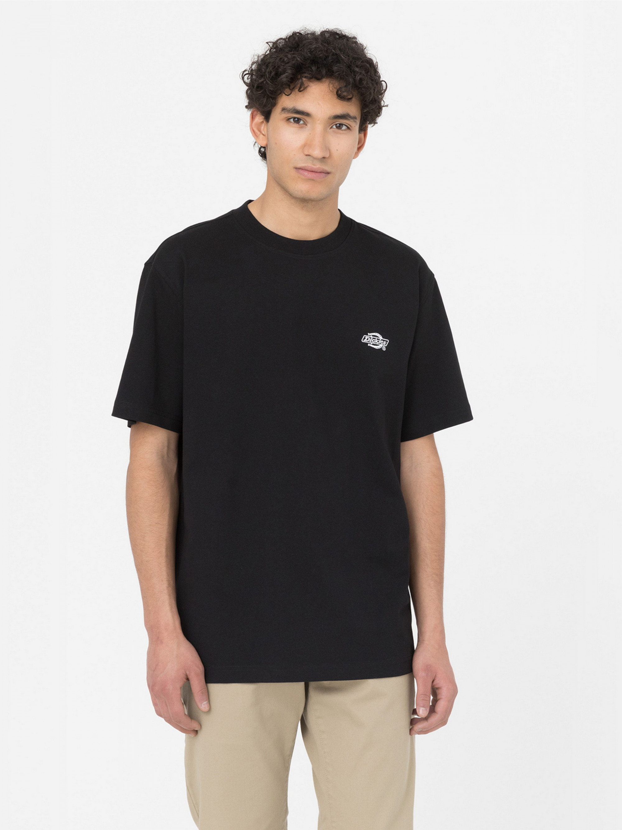 Футболка Dickies SUMMERDALE SS TEE DK0A4YAIBLK1