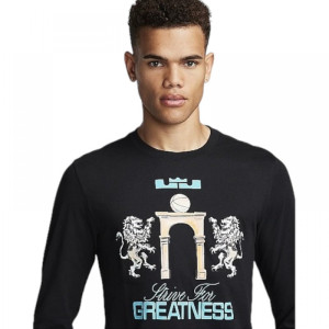 Футболка с длинным рукавом NIKE Lebron FQ4908-010