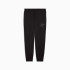 Штани спортивні ESS SCRIPT Sweatpants 68807401 Puma M Чорний 68807401