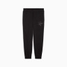 Штани спортивні ESS SCRIPT Sweatpants 68807401 Puma M Чорний 68807401