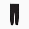 Штани спортивні ESS SCRIPT Sweatpants 68807401 Puma M Чорний 68807401