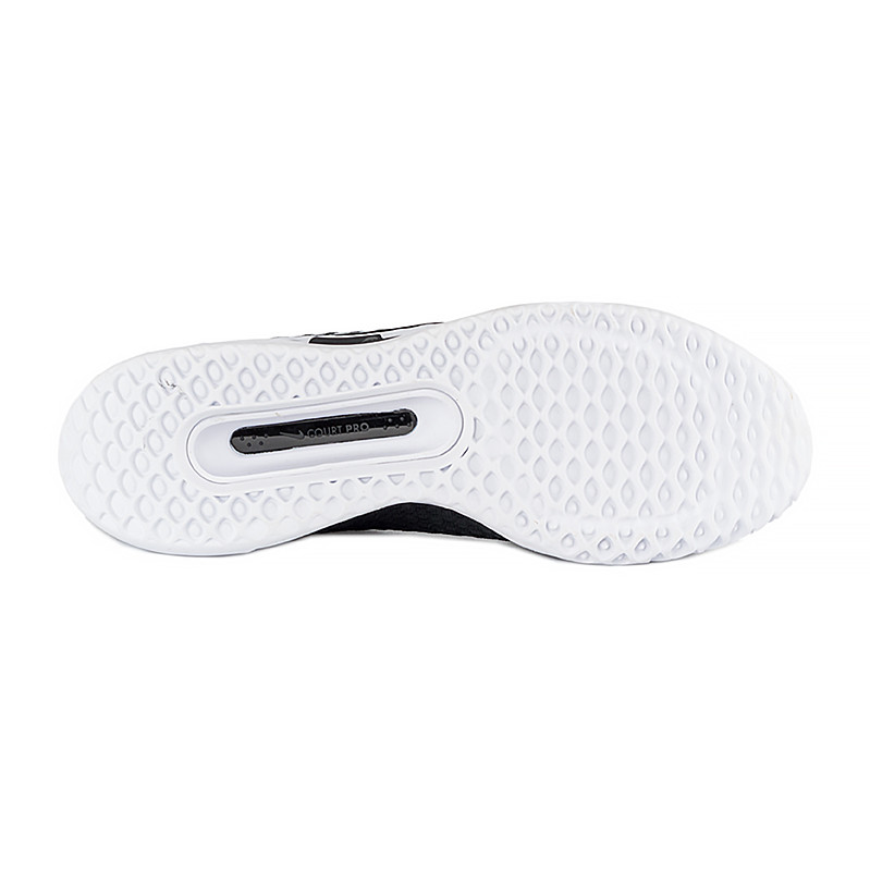 Кросівки Nike ZOOM COURT PRO HC DH0618-010