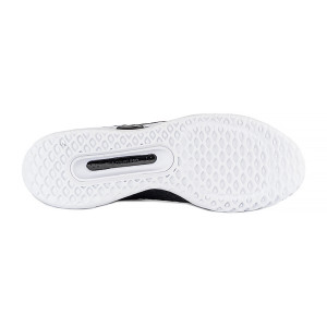 Кросівки Nike ZOOM COURT PRO HC DH0618-010