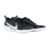 Кросівки Nike ZOOM COURT PRO HC DH0618-010