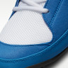 Борцівки Nike Fury AO2416-401