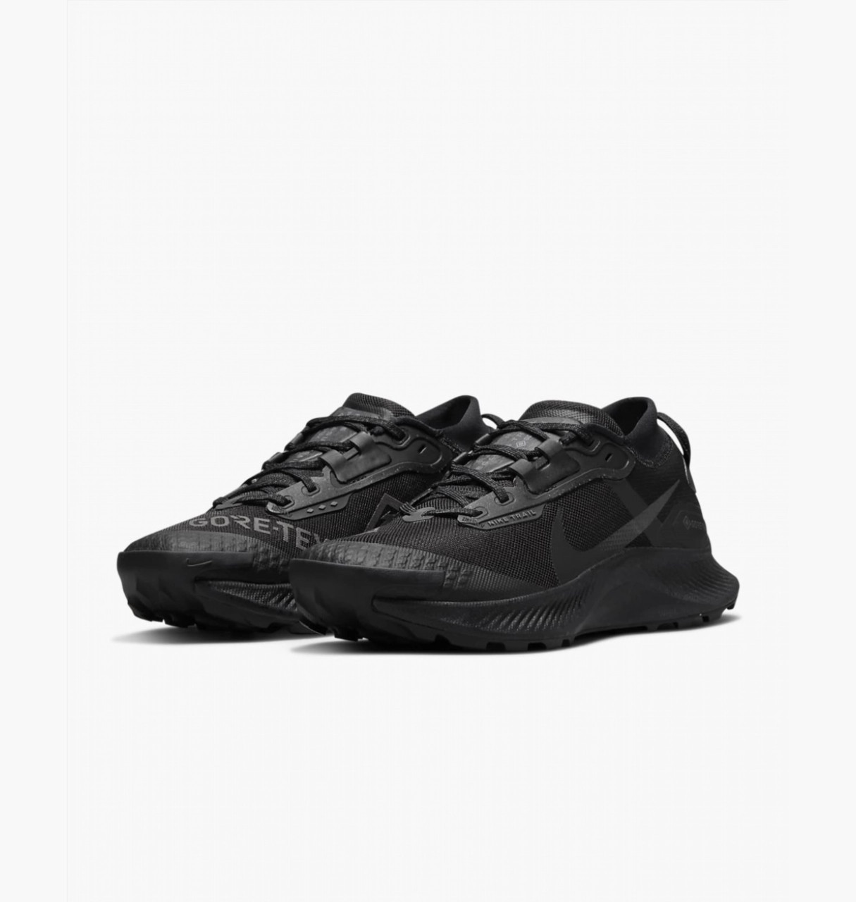 Кросівки Nike W PEGASUS TRAIL 3 GTX DC8794-001
