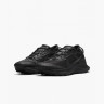 Кросівки Nike W PEGASUS TRAIL 3 GTX DC8794-001