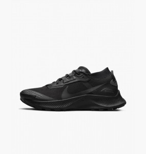 Кросівки Nike W PEGASUS TRAIL 3 GTX DC8794-001