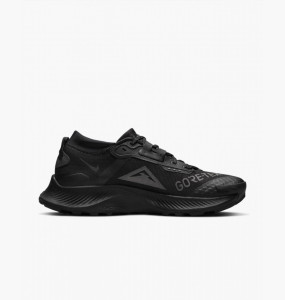 Кросівки Nike W PEGASUS TRAIL 3 GTX DC8794-001