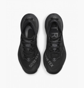 Кросівки Nike W PEGASUS TRAIL 3 GTX DC8794-001