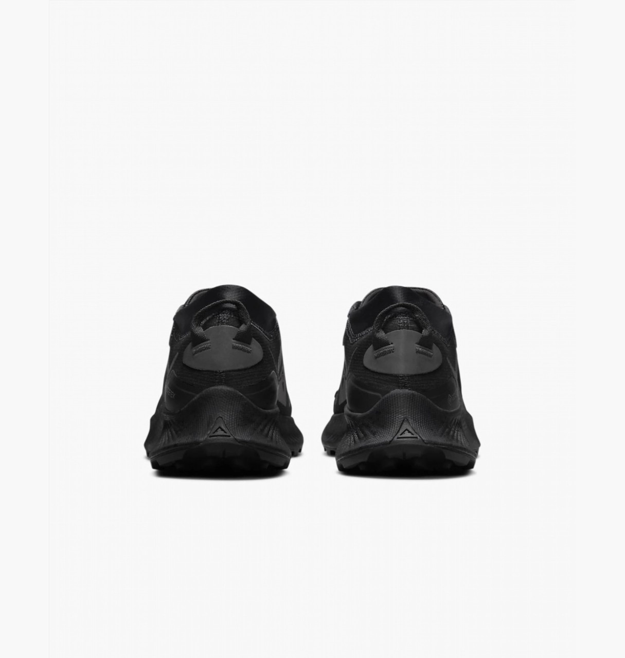 Кросівки Nike W PEGASUS TRAIL 3 GTX DC8794-001