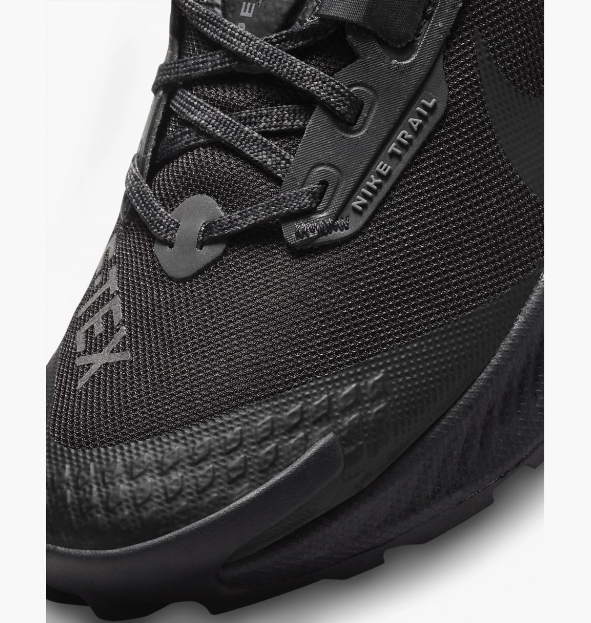 Кросівки Nike W PEGASUS TRAIL 3 GTX DC8794-001