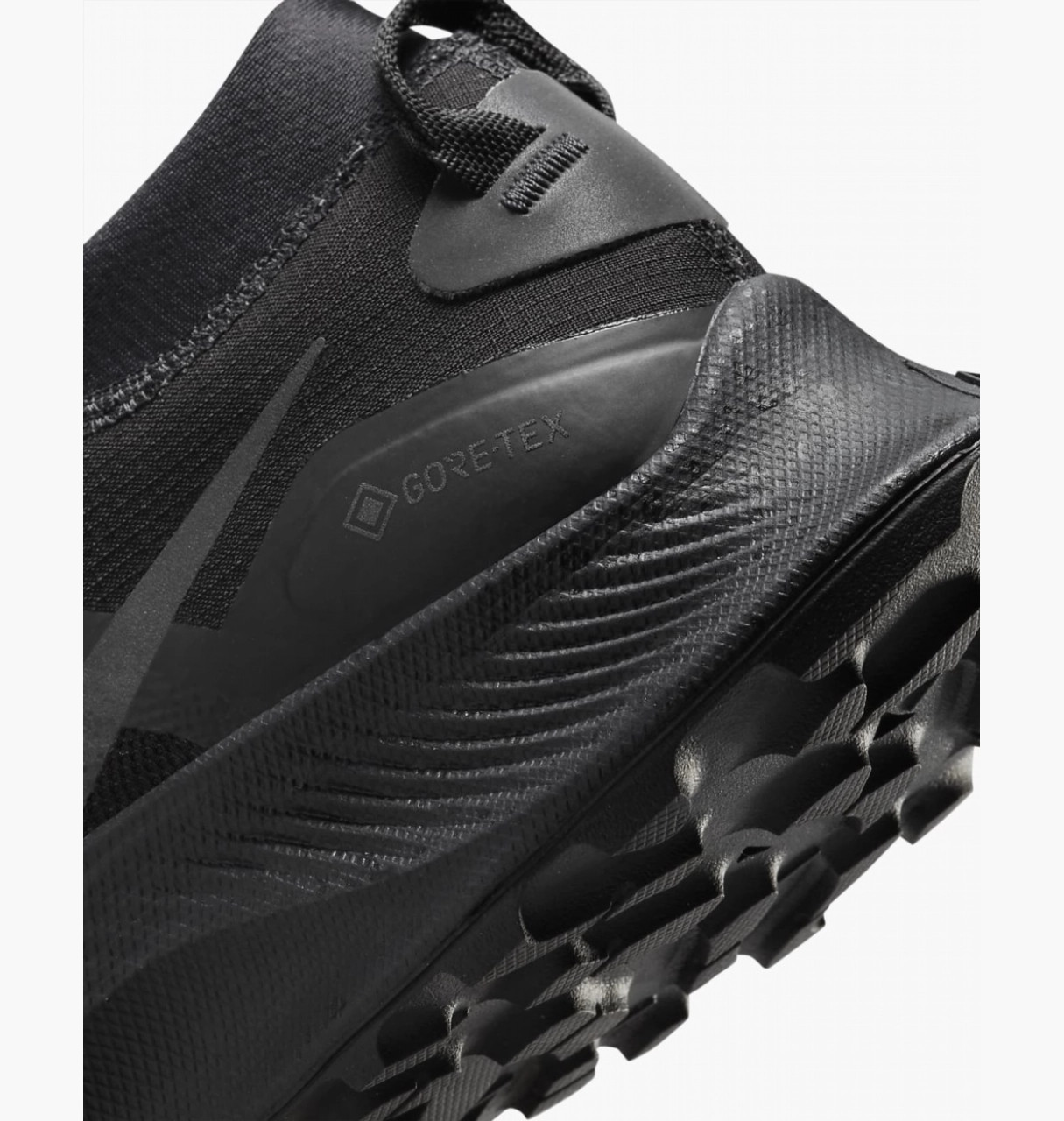Кросівки Nike W PEGASUS TRAIL 3 GTX DC8794-001