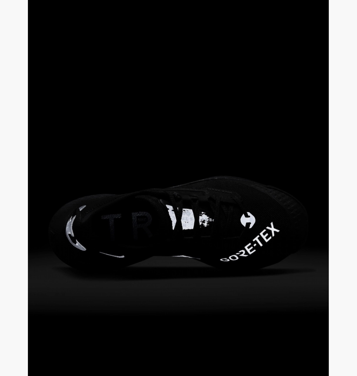 Кросівки Nike W PEGASUS TRAIL 3 GTX DC8794-001