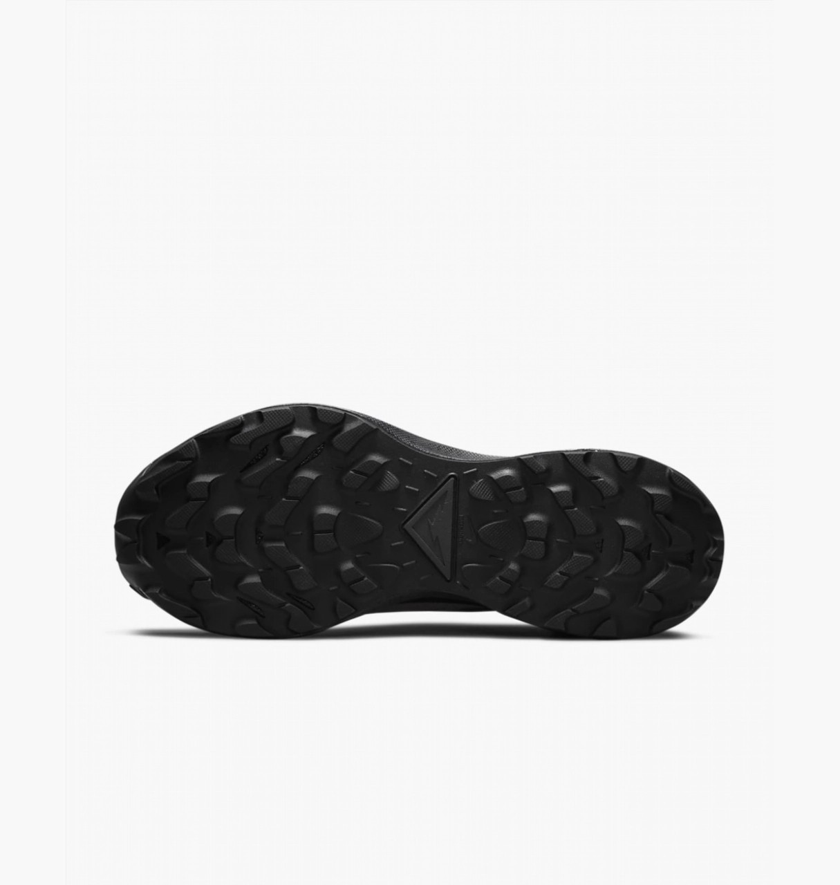 Кросівки Nike W PEGASUS TRAIL 3 GTX DC8794-001