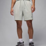 Шорти чоловічі Air jordan Df Sprt Mesh Grey FN5816-034