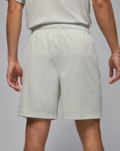 Шорти чоловічі Air jordan Df Sprt Mesh Grey FN5816-034